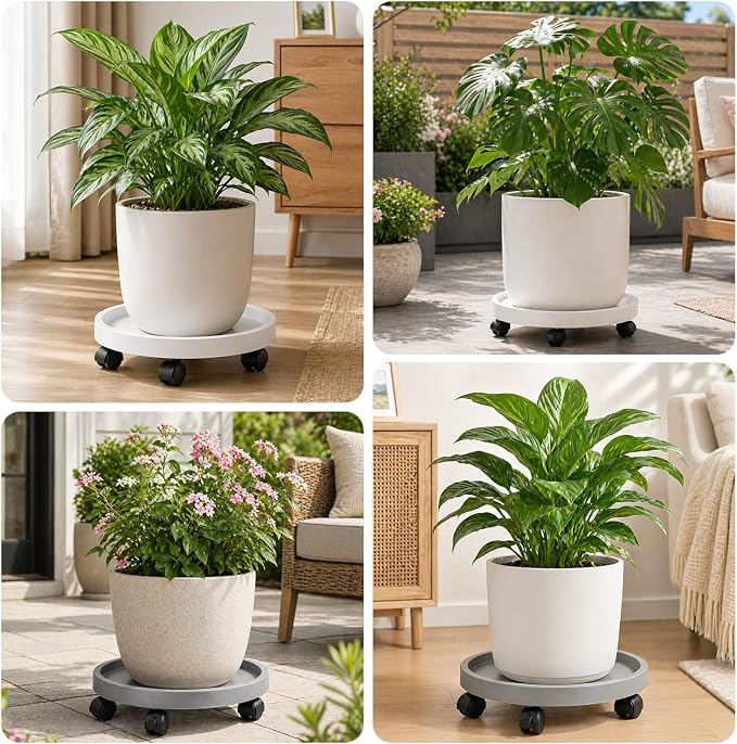 5 Pack Plant Caddy with Wheels Rolling Plant Stand with Wheels 10 Inch Plant - Image 8