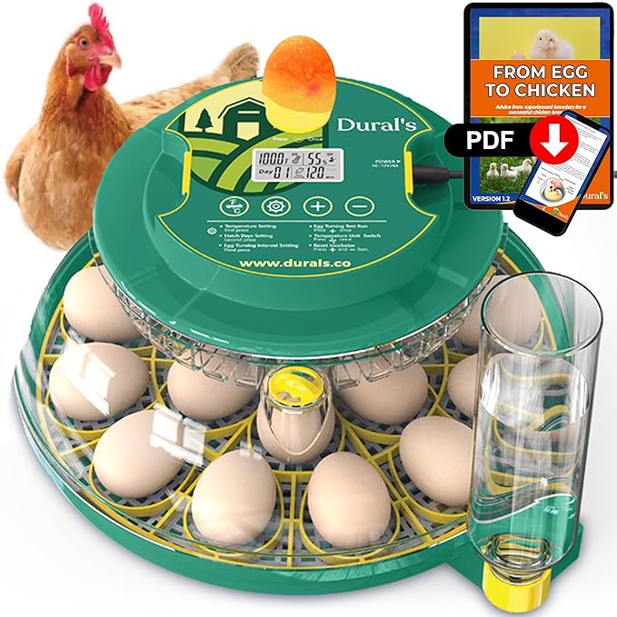 Dural's DX5® | Professional 18 Egg Incubator by dural%27s