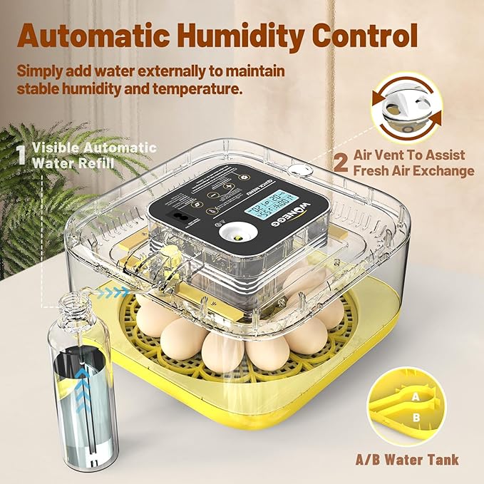 Incubator for Hatching Eggs, 12 Eggs Incubator - Image 3