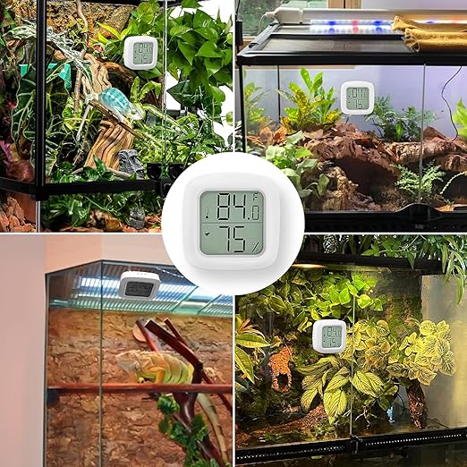 2 PCS Reptile Thermometer and Humidity Gauge - Image 5