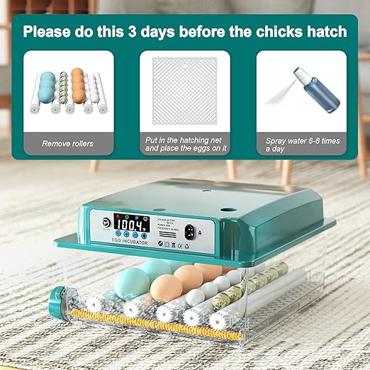 Incubators for Hatching 16 Eggs, Egg Incubator - Image 7