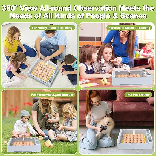 36 Eggs Incubator for Hatching Chicken/Goose/Quail/Duck/Turkey Eggs, 360° View - Image 7