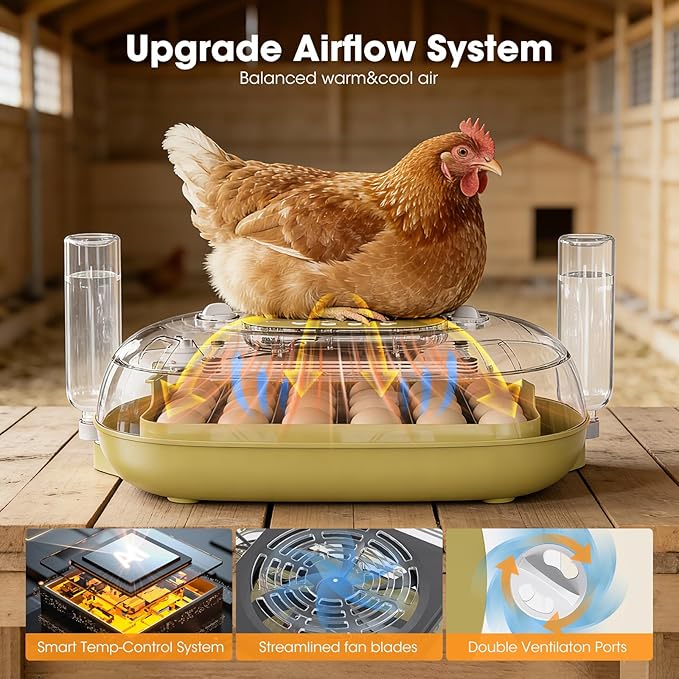 24 Egg Incubator for Hatching Eggs, Automatic Egg Turning, Temperature & - Image 3