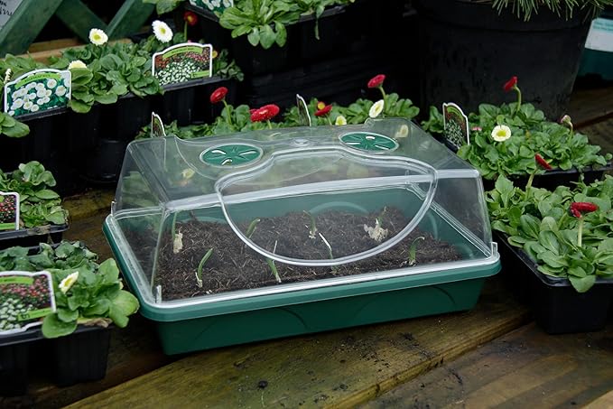 EarlyGrow Medium Seed and Herb Domed Propagator - Image 9