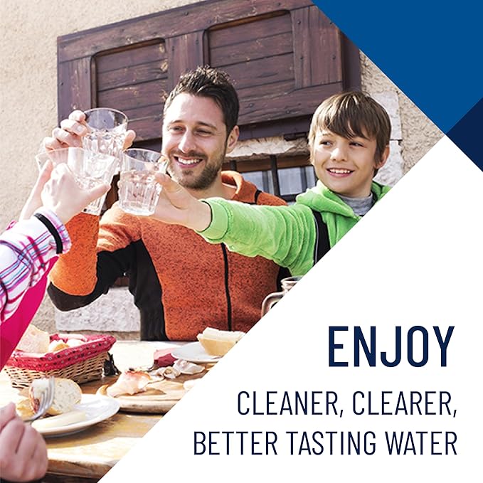 Pentair Pentek EPM-20BB Big Blue Carbon Water Filter, Whole House Modified - Image 2