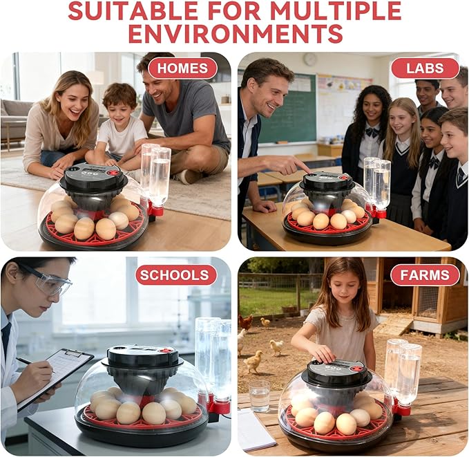 Explore+ 12 Egg Incubator for Beginners, Auto Egg Turning, Real-Time Display - Image 9