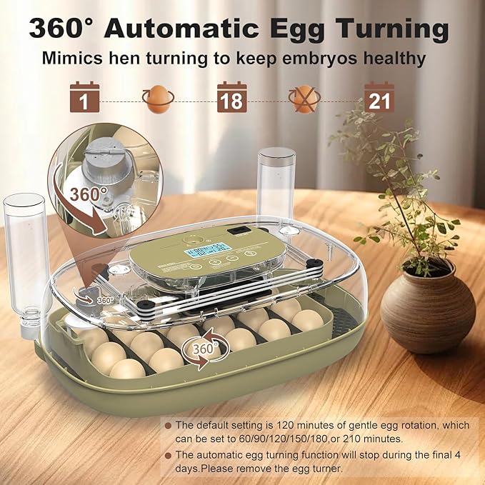 Incubators for Hatching Eggs, Smart 24 Egg Incubator - Image 2