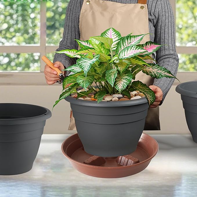 4 Pack Plant Saucer 10 inch, 8 12 14 17 inch, Plant Stand Plastic Plant Saucers - Image 5