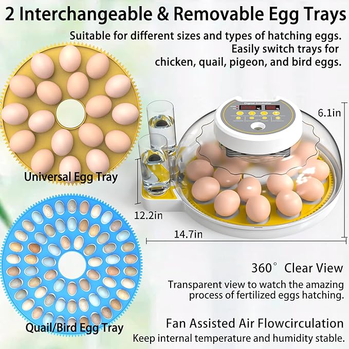 18/60 Incubator for Hatching Eggs, Egg Incubators - Image 2