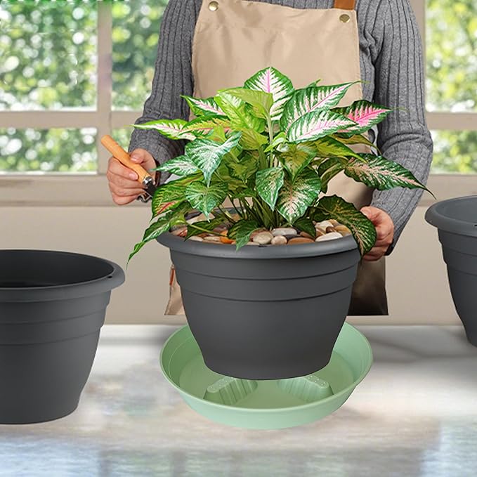 4 Pack Plant Saucer 10 inch, 8 12 14 17 inch, Plant Stand Plastic Plant Saucers - Image 5
