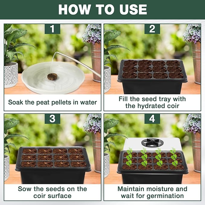 ZeeDix 6 Set Seed Starter Tray Kits, 6 Pack Seed Trays - Image 5