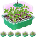 Bonviee 5 Packs Seed Starter Tray by BonvieeDirect