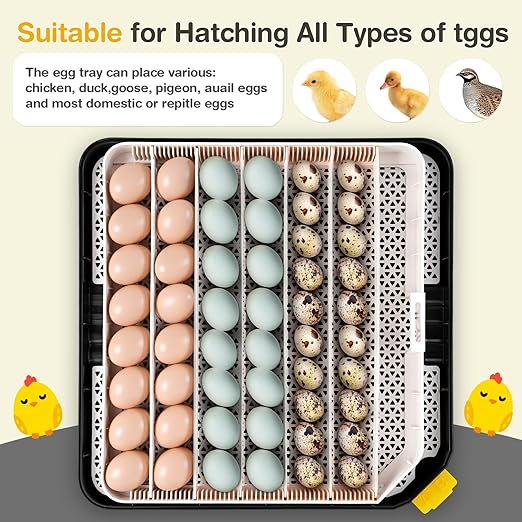 Sailnovo 48 Egg Incubator for Hatching Eggs - Image 7