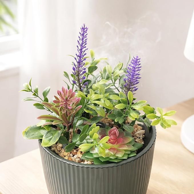 Earnest Living Essential Oil Diffuser Ceramic Artificial Succulent Plants - Image 2