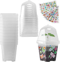 EBaokuup 10 Pack Clear Plant Nursery Pots by EBaokuup