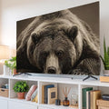 Rustic Brown Grizzly Bear Indoor TV Cover, Elastic TV Screen Protector Abstract by Unknown