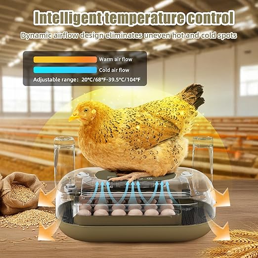XOTTI Incubator for Hatching Eggs, 24 Egg Incubator - Image 3