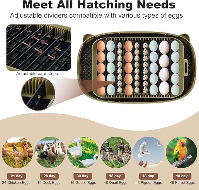 Incubators for Hatching Eggs, Smart 24 Egg Incubator - Image 6