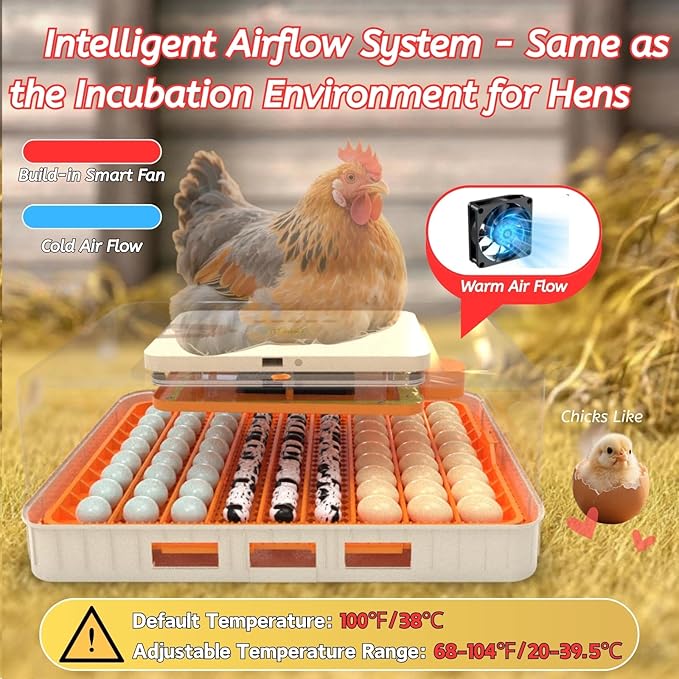 Egg Incubator for Hatching 56-154 Chicken/Quail/Turkey Eggs, 360° View Poultry - Image 6