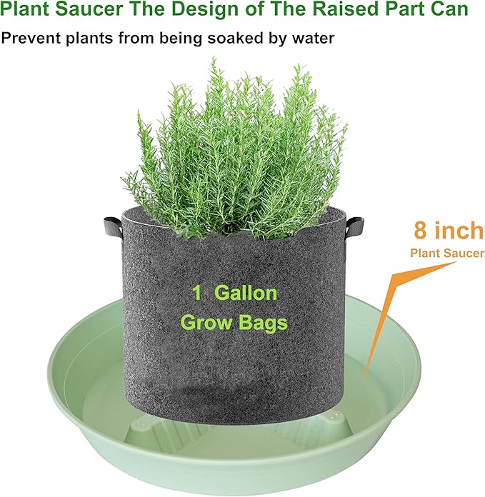 4 Pack Plant Saucer 8 inch, 10 12 14 17 inch, Plant Stand Plastic Plant Saucers - Image 3