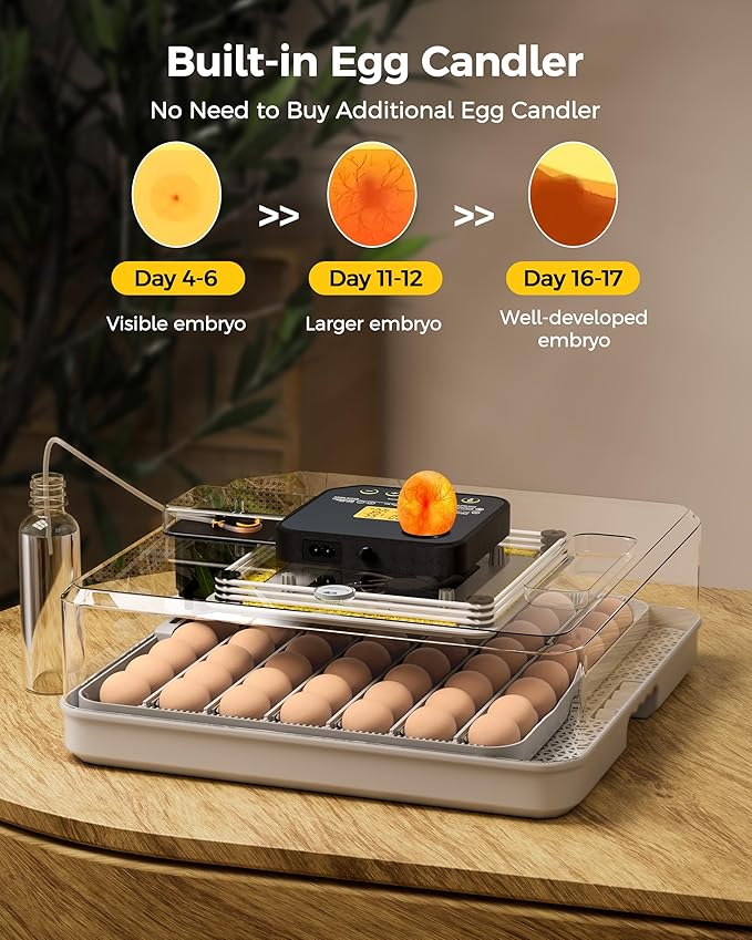 48 Egg Incubator for Hatching - Image 7