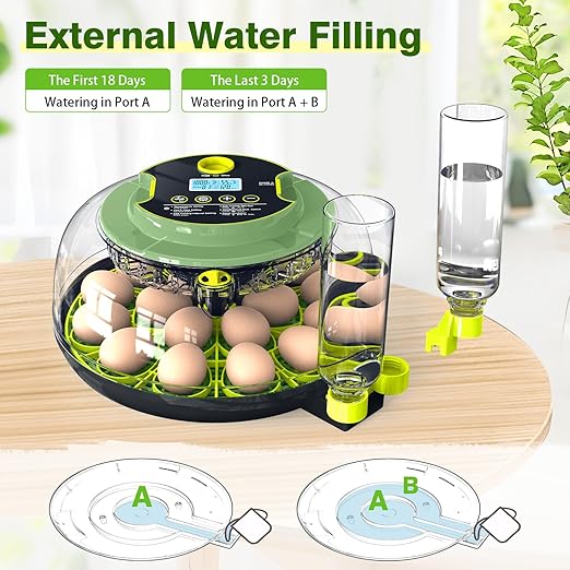 18 Egg Incubators for Hatching Eggs, Egg Incubator - Image 7