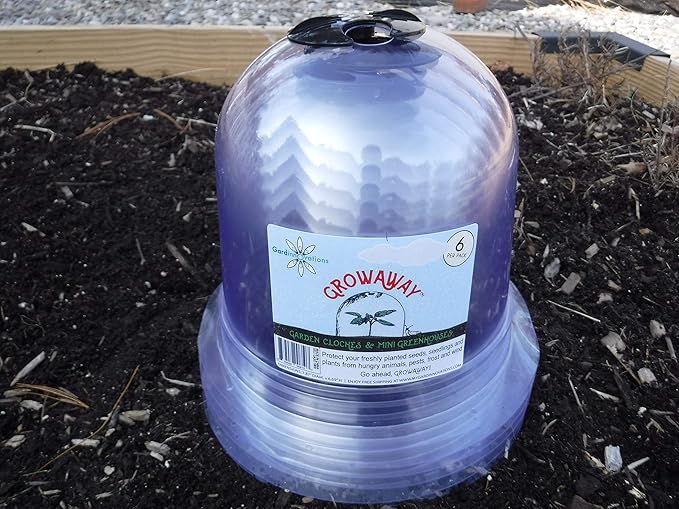 6-Pack! GrowAway Small Reusable Plastic Mini Greenhouse, Garden Cloche Dome - Image 6