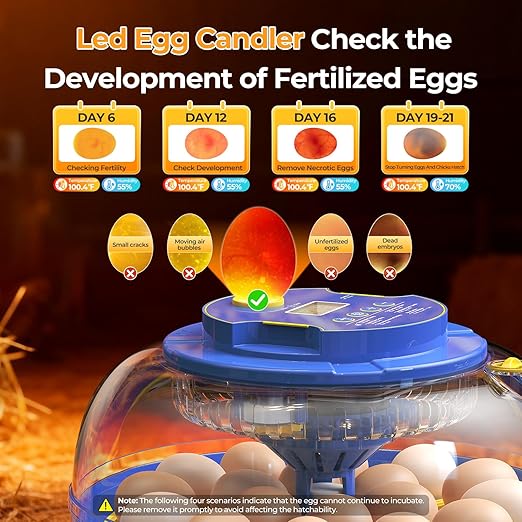 18 Egg Incubators for Hatching Eggs, 360° View - Image 6