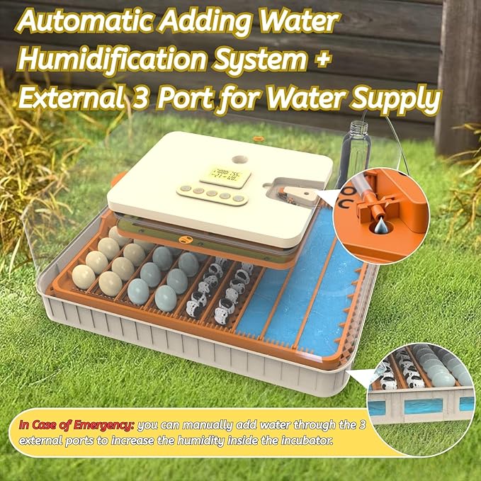 Egg Incubator for Hatching 56-154 Chicken/Quail/Turkey Eggs, 360° View Poultry - Image 5