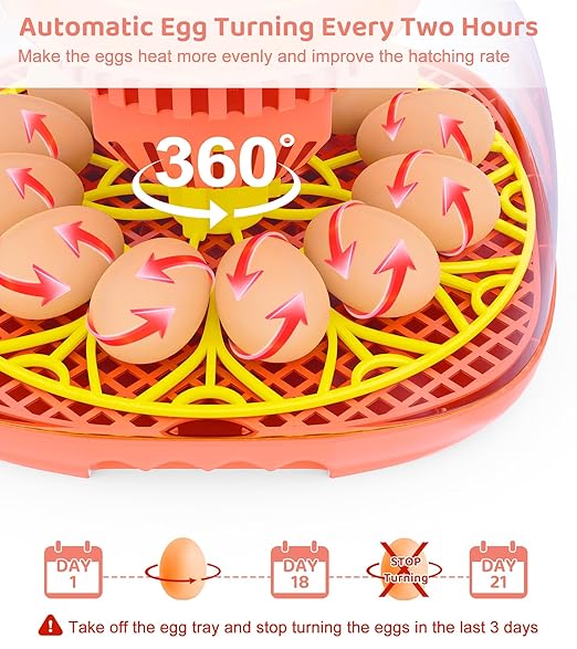 12 Egg Incubator for Hatching Eggs, Smart Temperature and Humidity Control - Image 3