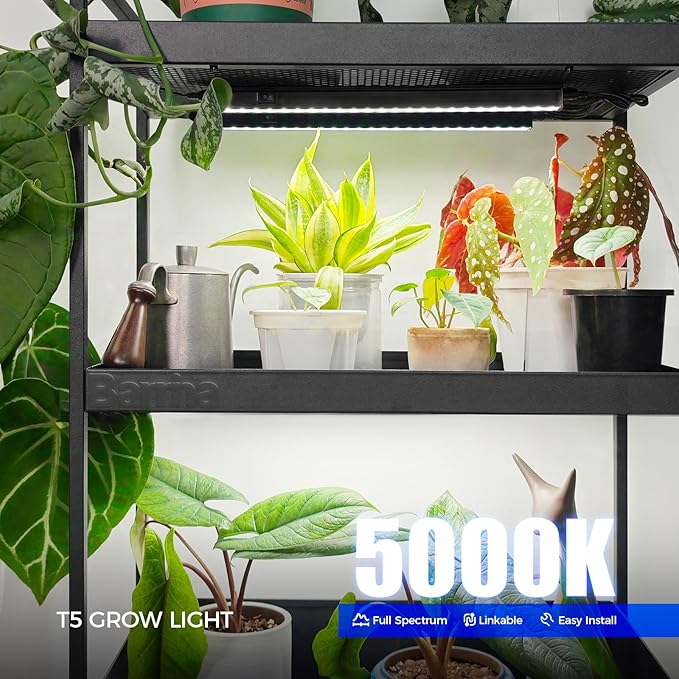 Barrina T5 Grow Lights for Indoor Plants, Full Spectrum Grow Light, 1ft LED - Image 2