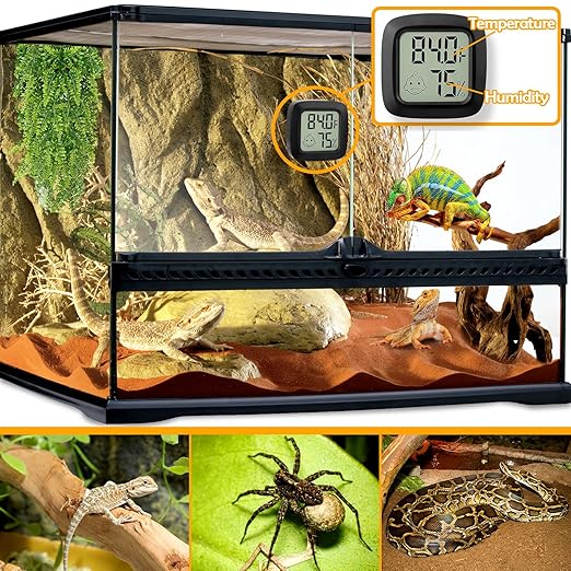 2 PCS Reptile Thermometer and Humidity Gauge - Image 2