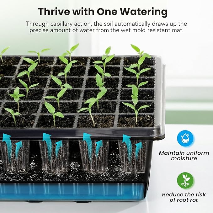 Seed Starter Tray with Grow Light - Image 2