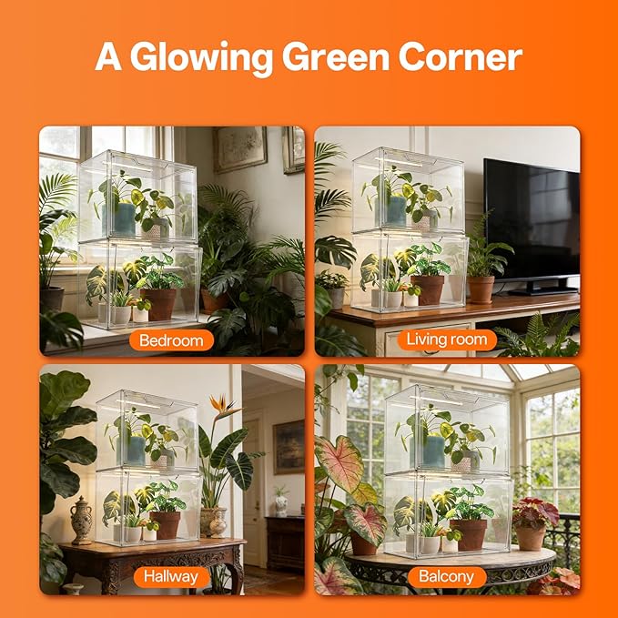 Bstrip Tabletop Greenhouse, GM4 Small Greenhouse - Image 5