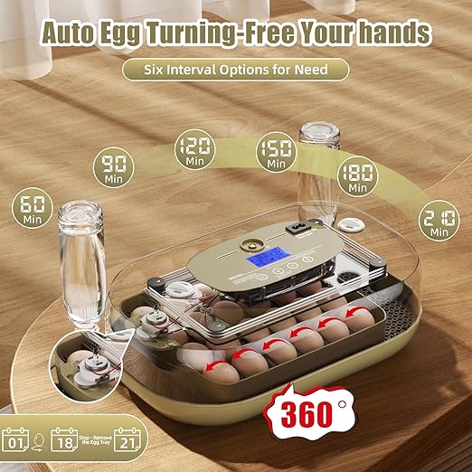 XOTTI Incubator for Hatching Eggs, 24 Egg Incubator - Image 5
