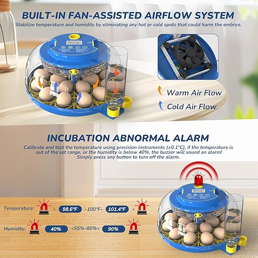 Incubator for Hatching Eggs - Image 6