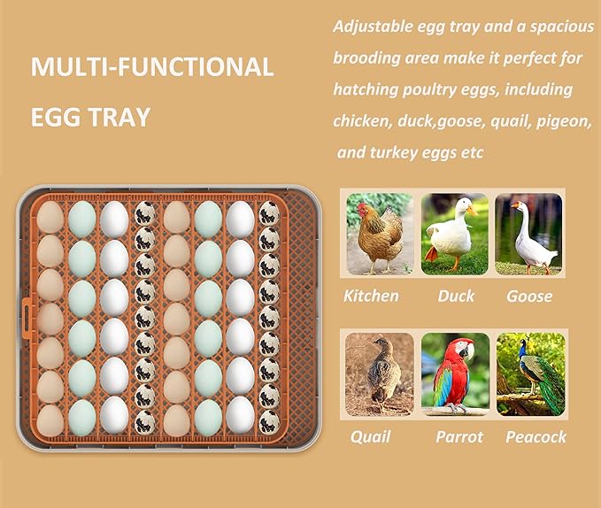 Egg Incubator for Hatching Eggs, Intelligent 56 Eggs Incubator - Image 3