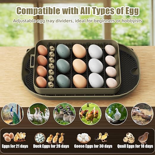 XOTTI Incubator for Hatching Eggs, 24 Egg Incubator - Image 2