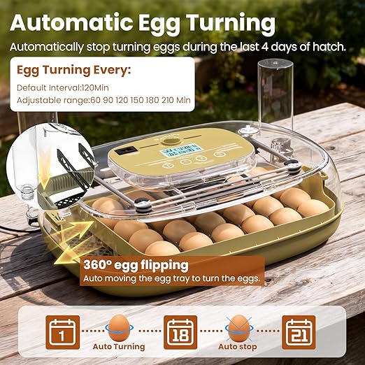 Incubators for Hatching Eggs, 24 Eggs Capacity - Image 4