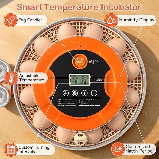 18 Egg Incubator for Chicken Eggs, Automatic Egg Turning and Humidity Control - Image 3