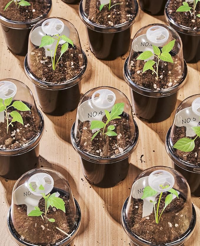homenote Nursery Pots for Plants, 4 Inch Plant Pot for Planting - Image 3