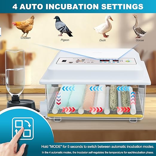 Incubators for Hatching Eggs, 36 Egg Incubator - Image 5