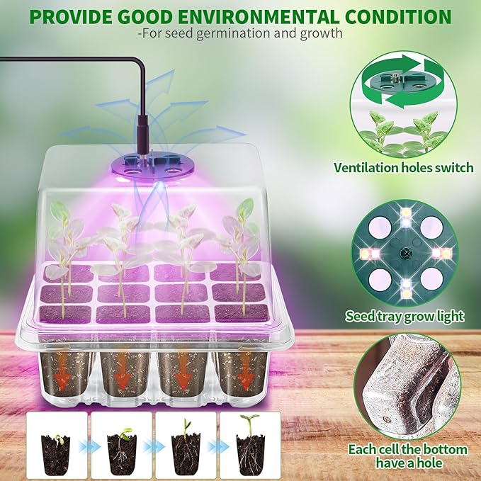 Seed Starter Tray with Plant Light, 2 Pack Grow Lights - Image 2