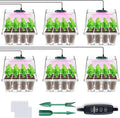 YAUNGEL Seed Starter Tray with Grow Light, 6 Pack Seed Starter Kit with Timing by YAUNGEL