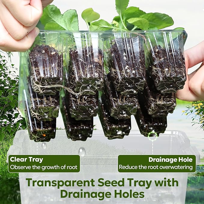 MIXC Seed Starter Kit with Grow Light, Elevated Seedling Tray Kit with - Image 4