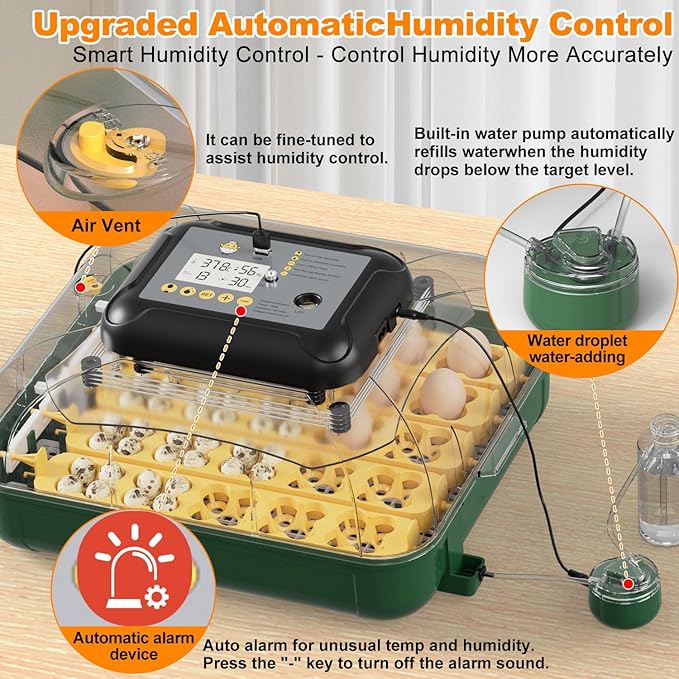 30 Egg Incubator for Hatching Eggs - Image 3