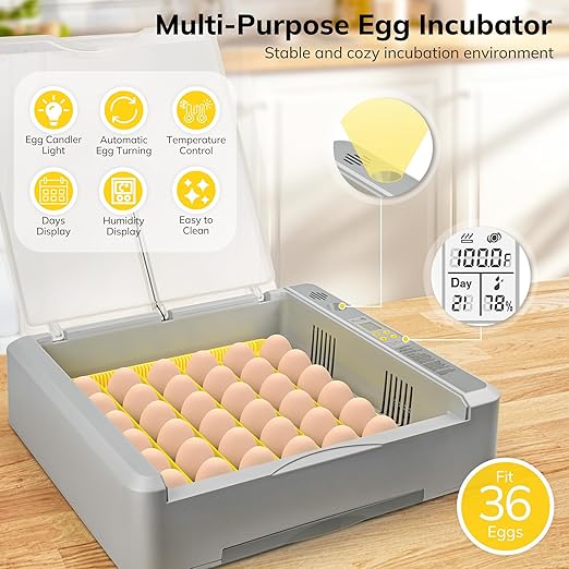 36-60 Egg Incubator with Automatic Egg Turning and Humidity Control, Chicken - Image 2