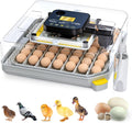 48 Egg Incubator for Hatching by Besly