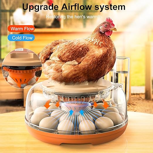 18 Egg Incubator, Automatic Turning - Image 4