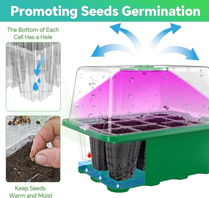 5 Packs Seed Starter Tray with Grow Light, 60 Cells Seed Starter Kit with - Image 4